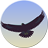 Eagle Mode Logo